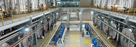 Four companies, three continents, two years, one goal