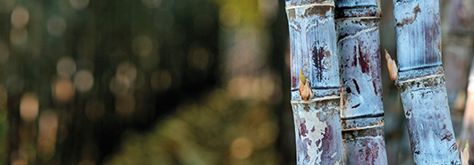 Same process, new application